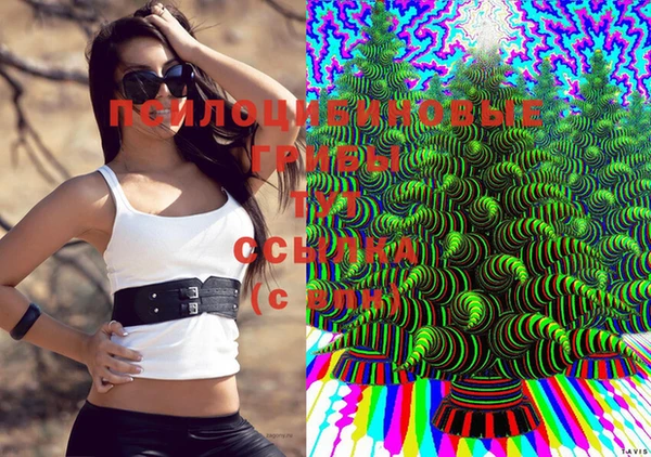 хмурый Кукмор