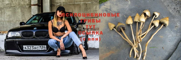 jwh Куйбышев